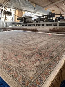 قالیشویی در گاندی