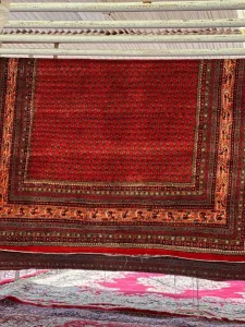 قالیشویی در محدوده امیرآباد