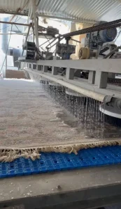 قالیشویی در محدوده حافظ